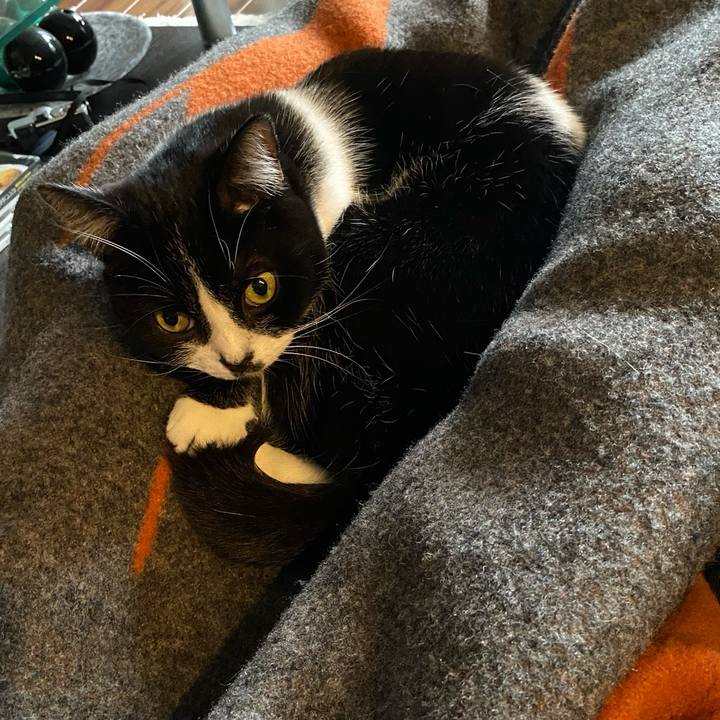 D9b91daa a381 42b5 8945 94e6e8990a37 1770635413568