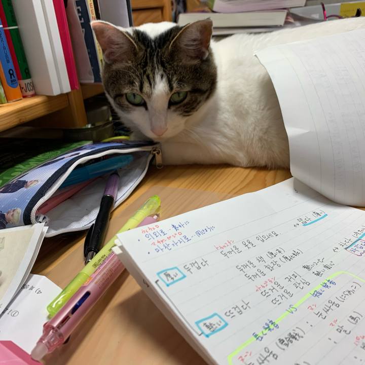 D9b9393a 22b0 4757 a84b 5b9017586193 1587591038511