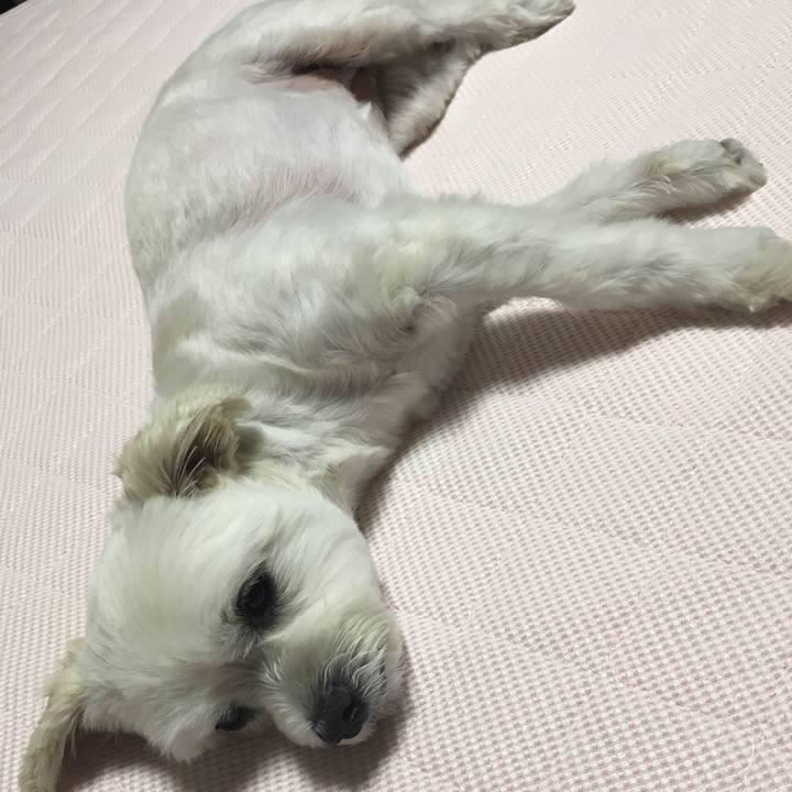 D9b980e2 c3e7 4e77 89b5 d9b7e3edacfd 1564066727455