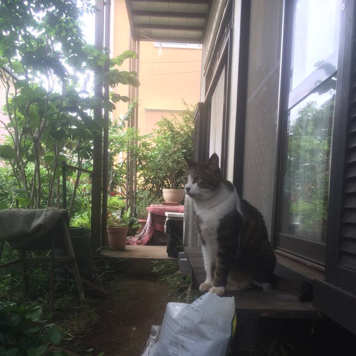 D9b98139 1e15 4f41 b059 eb69601a06cd 1561880671242