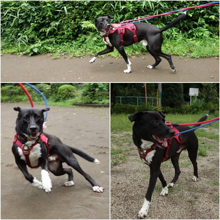 D9b99b1c 09f6 4f18 bd27 9af578e1e32e 1594078750430