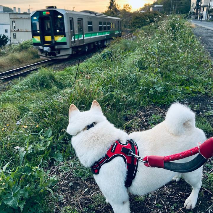 D9b99e24 e2e4 40d9 9bdb e1a6b6144e5c 1759613964119