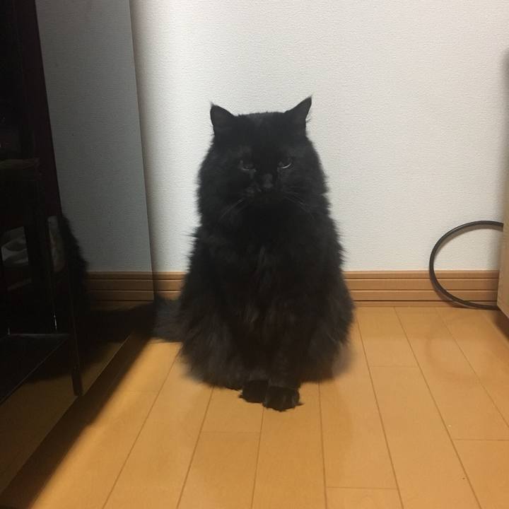 D9b9f91c 8e39 41a7 a8f8 8baac65dd134 1558207076904