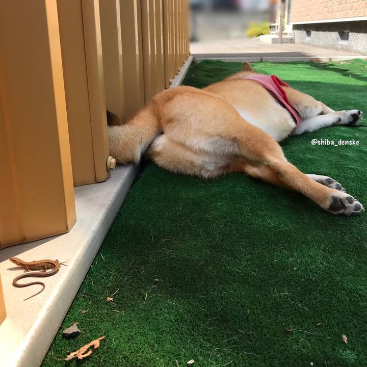 D9ba1f83 31fc 48f5 a3a2 4693ec798988 1533269173212