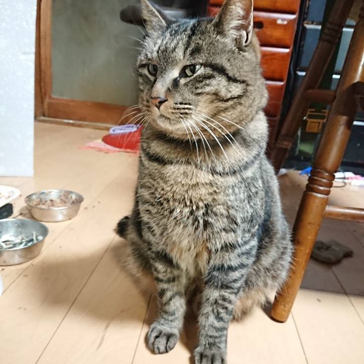 D9ba38d9 c43c 4ccb 9f0e 8049254143df 1642627501359