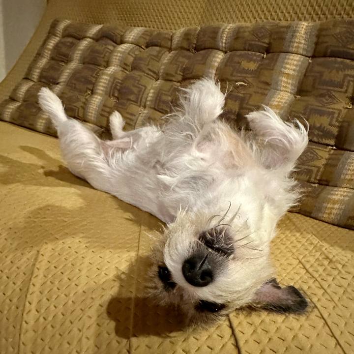 D9ba4e68 4c1a 436e 9a22 20a56bd76863 1693669391266