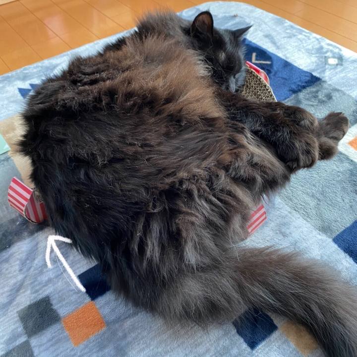 D9ba519c 3fc2 4db5 90a9 7cb242285491 1578923690573