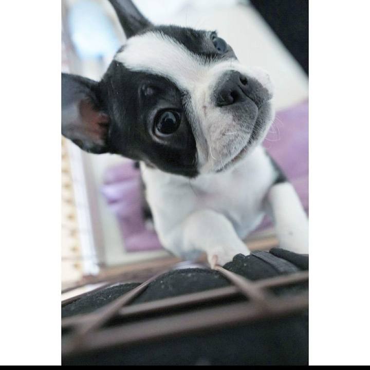 D9ba7493 a207 47fd a4d7 63afd9de5c3b 1518328160044