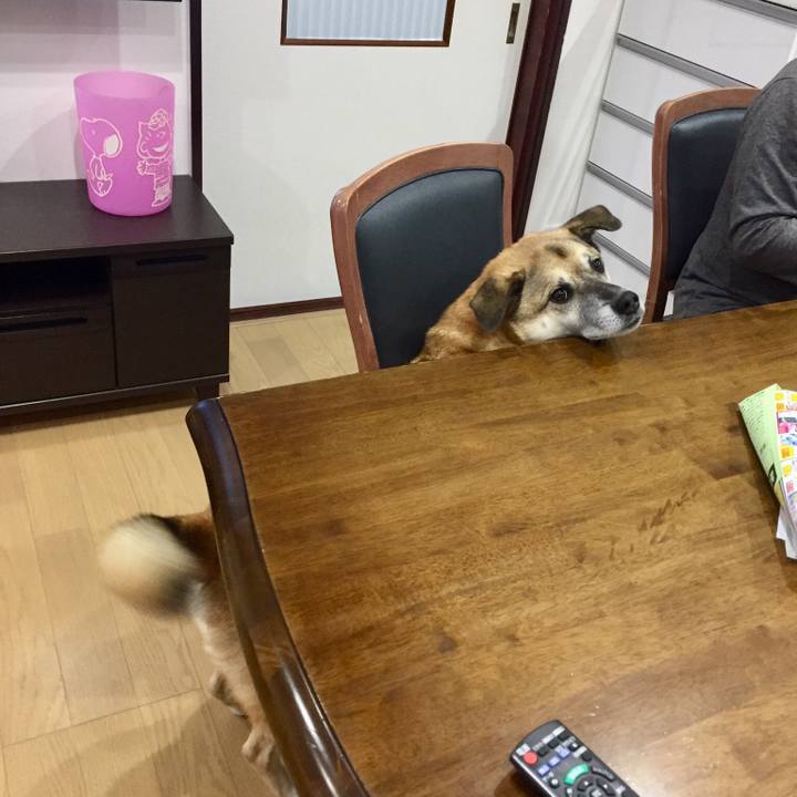 D9ba86b7 49e3 44dd b73d 537f31d47633 1540252227357