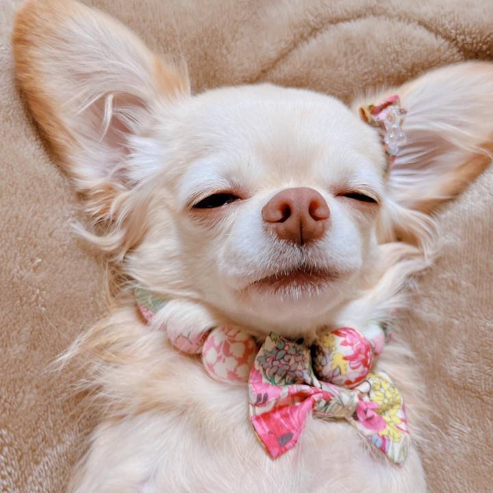 D9baad27 78f8 4a0d b758 960abecc261d 1668761455576