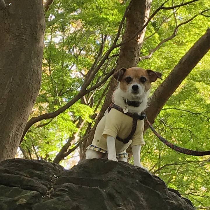 D9bab6d9 2a83 4227 a2f4 414a36d4cd4f 1573273807662