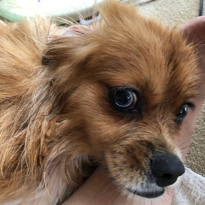 D9bab826 3ec1 41f5 a48c f918b9d13279 1563683366804