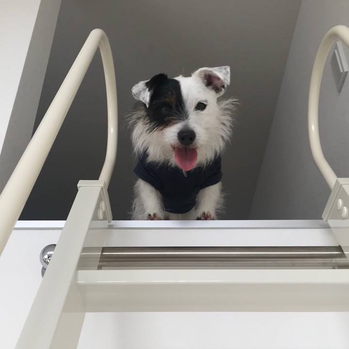 D9bad4bd 8b90 4c03 bcd6 4b2963b10d34 1525330093124