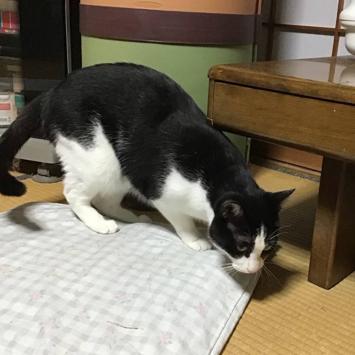 D9bad790 3086 414e 9a38 68fa98f3ac89 1690551142500