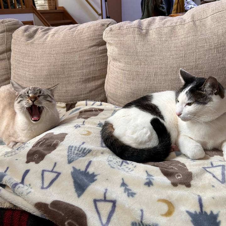 D9bb1483 931b 4c79 b724 4ef46e73666d 1736843478718