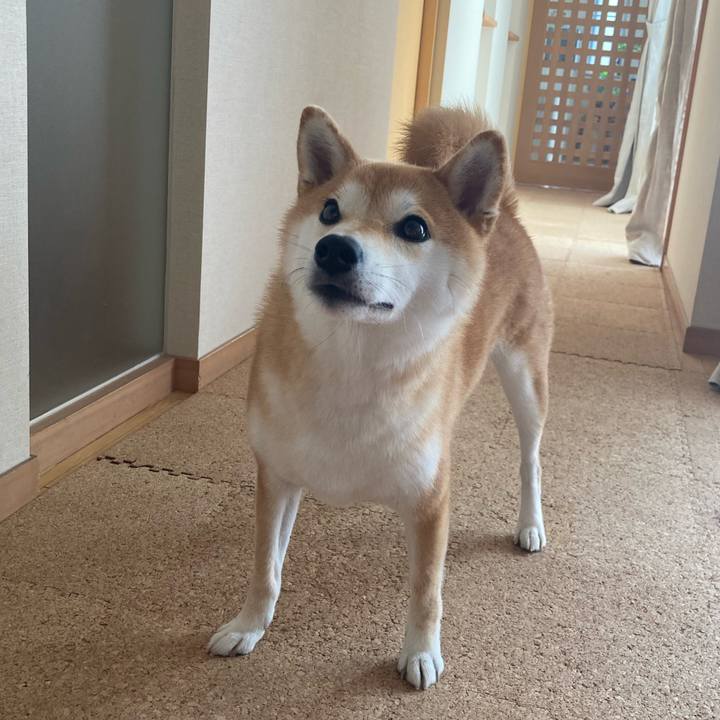 D9bb6ec0 371a 4a2d baeb e6e2715e6bbf 1721438701723