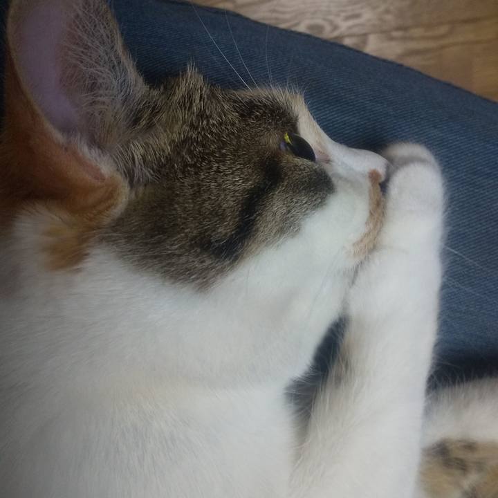 D9bb8402 d32c 4d1e ad10 0b8804831bd3 1681135789936