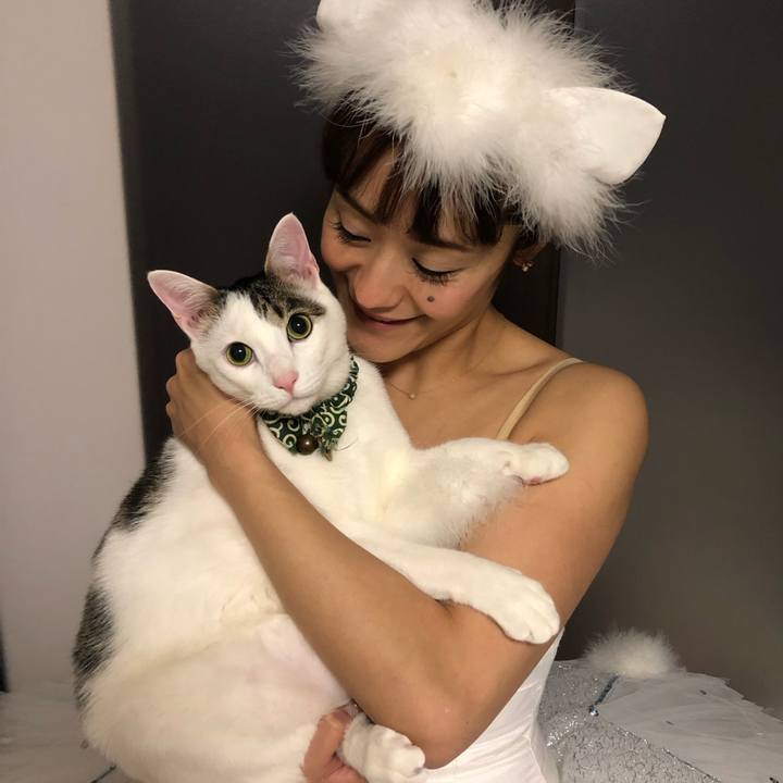 D9bb8807 ed12 4469 813f 3cfeaa34d0d1 1545405343434