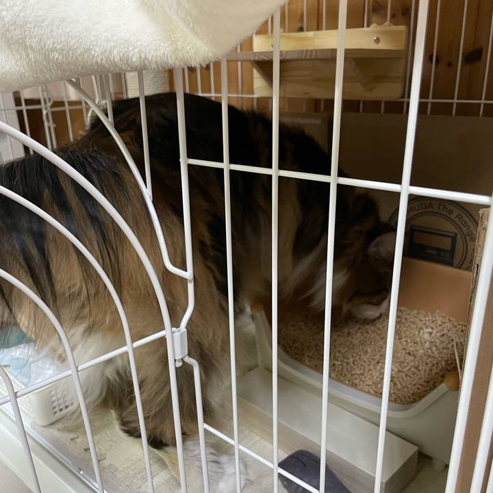 D9bb8f77 b337 4f66 b44f 891f8adadb45 1684959135233