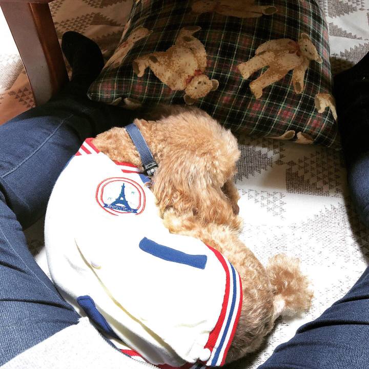 D9bb94ef 320a 4376 9d93 e3a7ebd5a80a 1573015589117