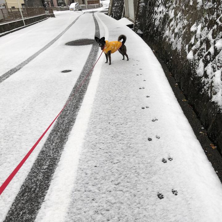 D9bb9759 98c6 48bf bb94 49cb8f8d034d 1610081305171