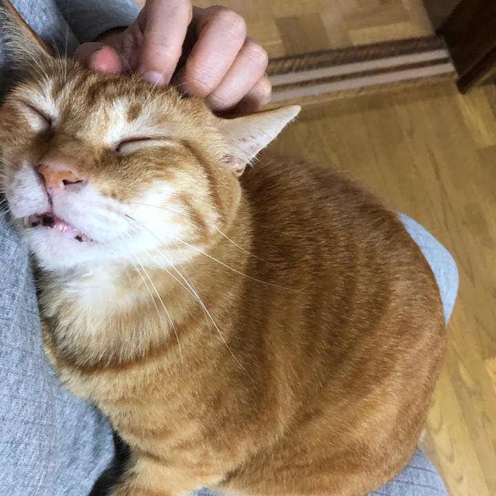 D9bbeb52 f822 4510 bb40 5ed5bfc53783 1597577208951