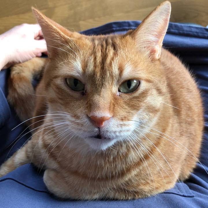 D9bc155c f925 4007 9d1d d7aa8318453b 1648592756548