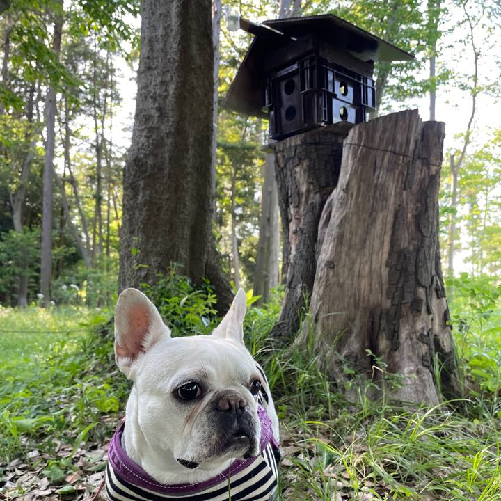 D9bc2a37 cdaf 4305 bbda a9cf4f37eb39 1746139901639