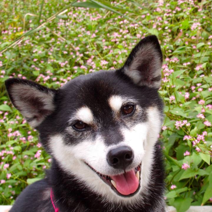 D9bc2edd af2e 4169 9c39 7fd9f0b4d1a2 1570790304617