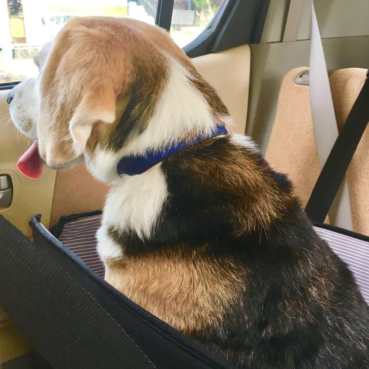 D9bc3709 0194 45a5 b4aa c5c9cb21a375 1749438927832