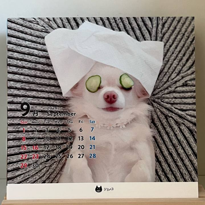 D9bc46c8 add1 4655 87e0 3583c3edda60 1725241529233