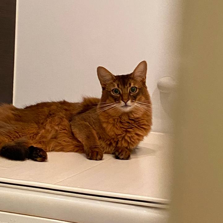 D9bc7fdf 7bd2 4841 a2bb 04bf053d3615 1637901745831