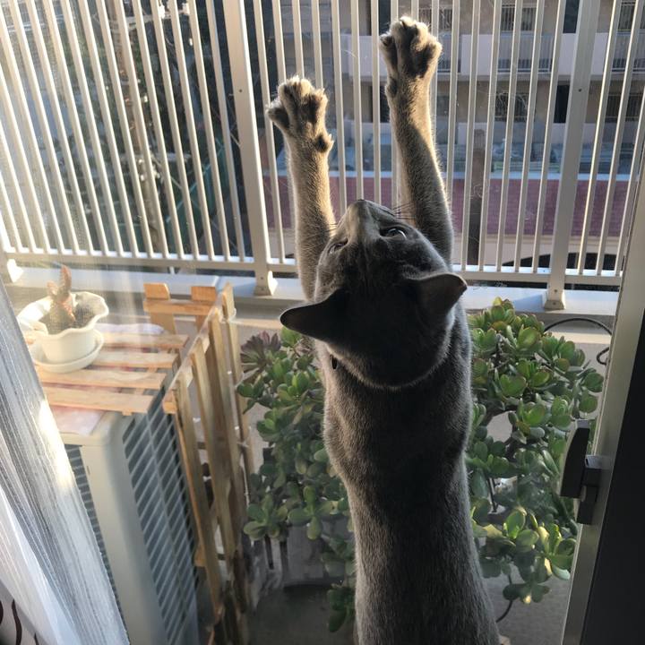 D9bc8dcc 5d66 436b 9b60 4cee85588b66 1526200672448