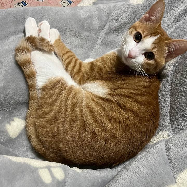 D9bc9c11 710a 42f9 95f8 8410f7b69342 1640000573398