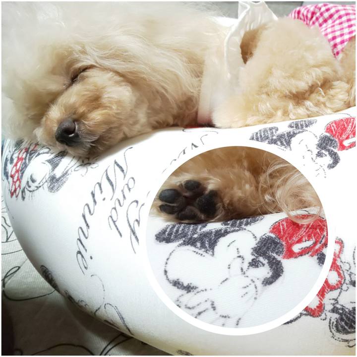 D9bca6b8 458b 4024 aa44 c24e7eb45128 1597756590355