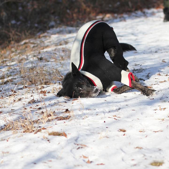 D9bcd7f3 729f 473c b4b8 b0002bc8fe31 1565049494636