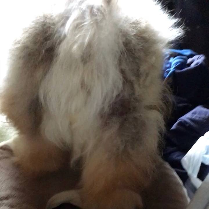 D9bced26 0db8 4da3 a2bf 8a573fe47bd9 1562596325457