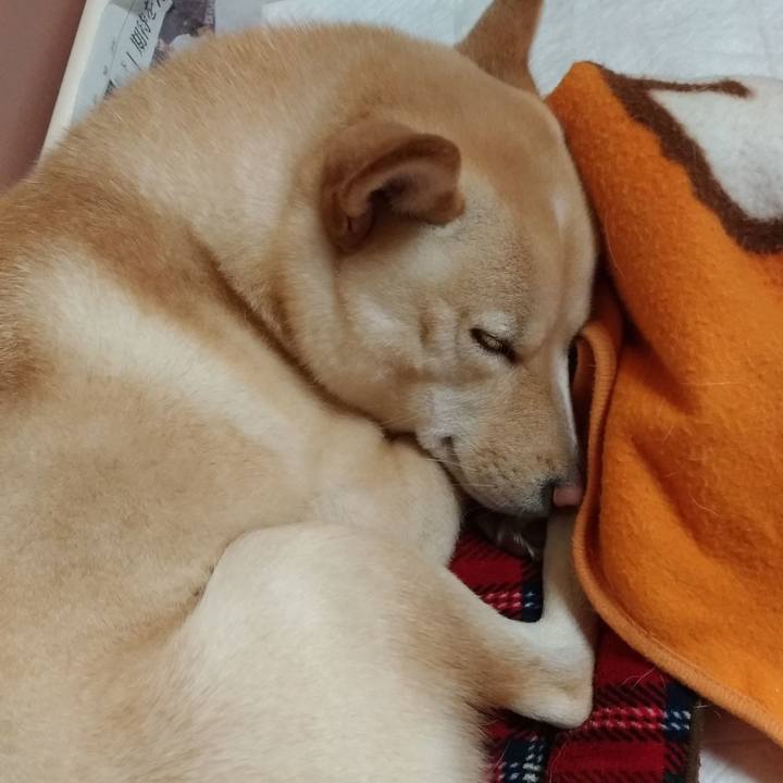 D9bcf094 1379 4504 b2db 4eed5bd9f325 1541074743979