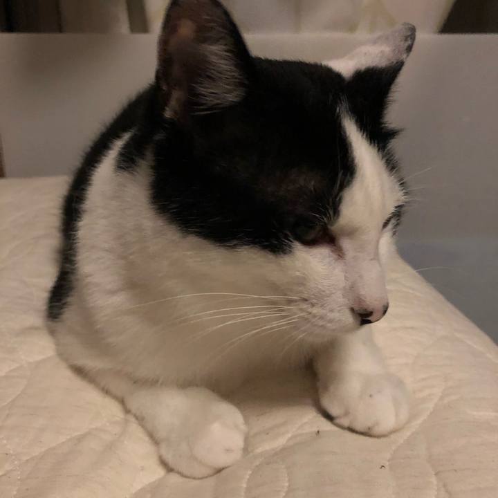 D9bcfb2c 2ba3 403d a3bb fd8e6a728e79 1562756742382