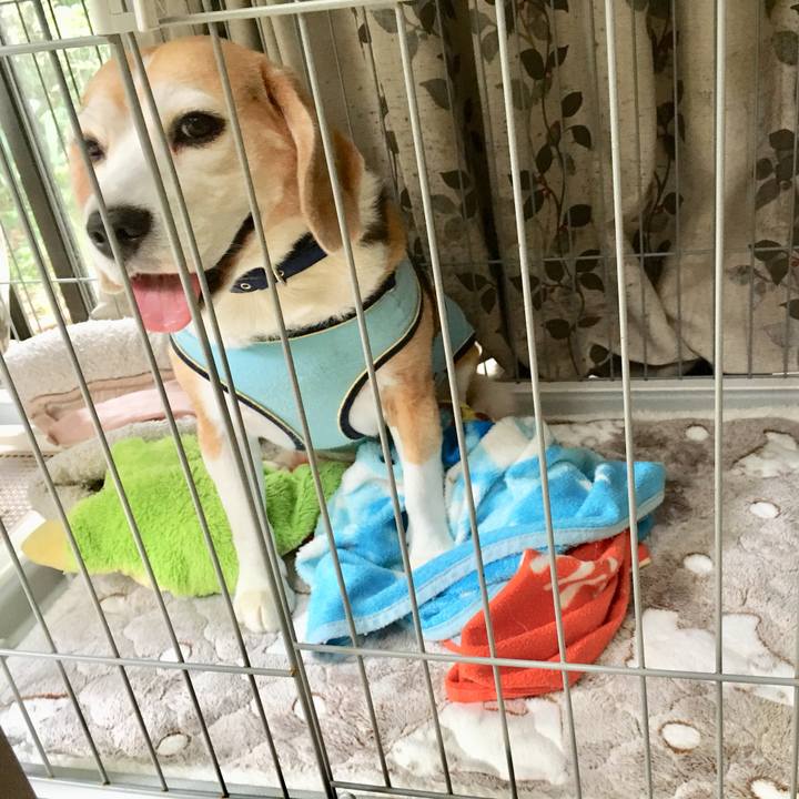 D9bd07f6 3f4e 4230 a13a 594273f5596a 1727740394071