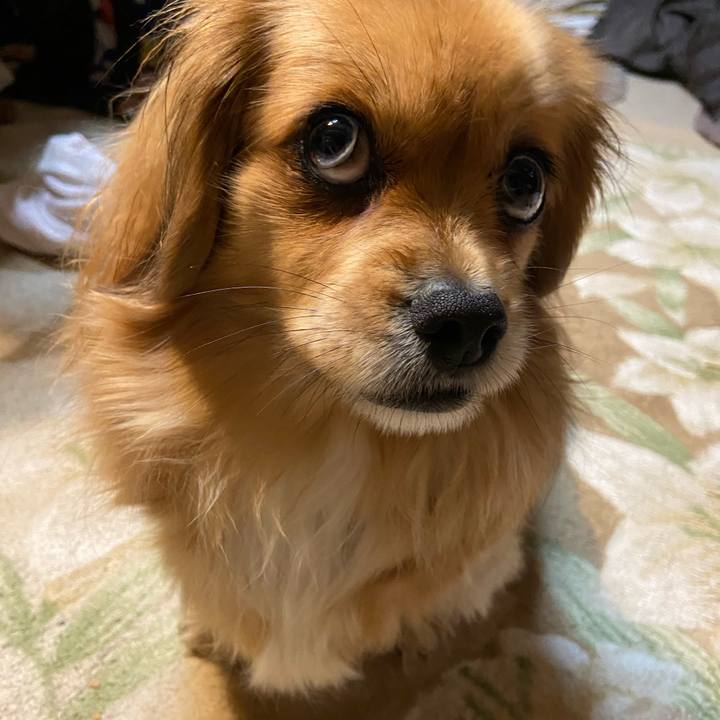 D9bd0b32 bc6e 4023 b054 55accb73827a 1581545068862