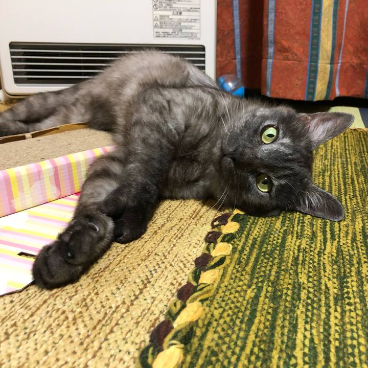 D9bd1666 de15 4a3d 8735 98965388e1b2 1593926965764