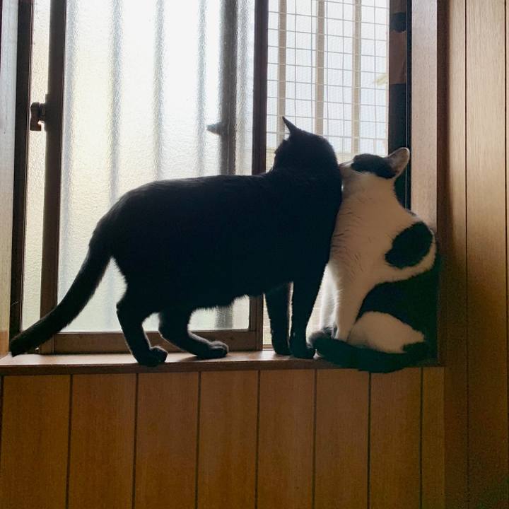 D9bd1813 bcf3 4a45 80e6 6d45f8c804d3 1549160077919