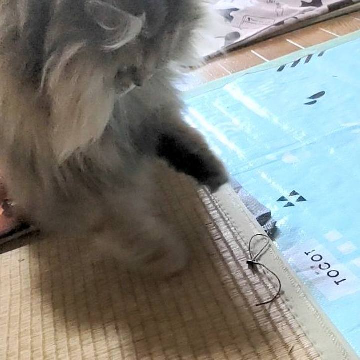 D9bd20ef 5f62 40b3 a7d0 48e03a87fcd5 1645060362590