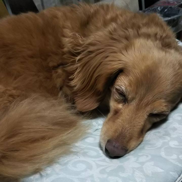 D9bd309a 3e9a 489f af07 abb66f29fc81 1572865022773