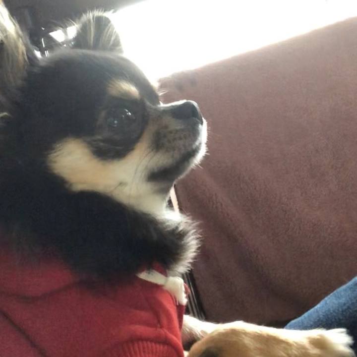 D9bd4743 bacd 48a4 8e6e 66e2fa7911d3 1550819889111