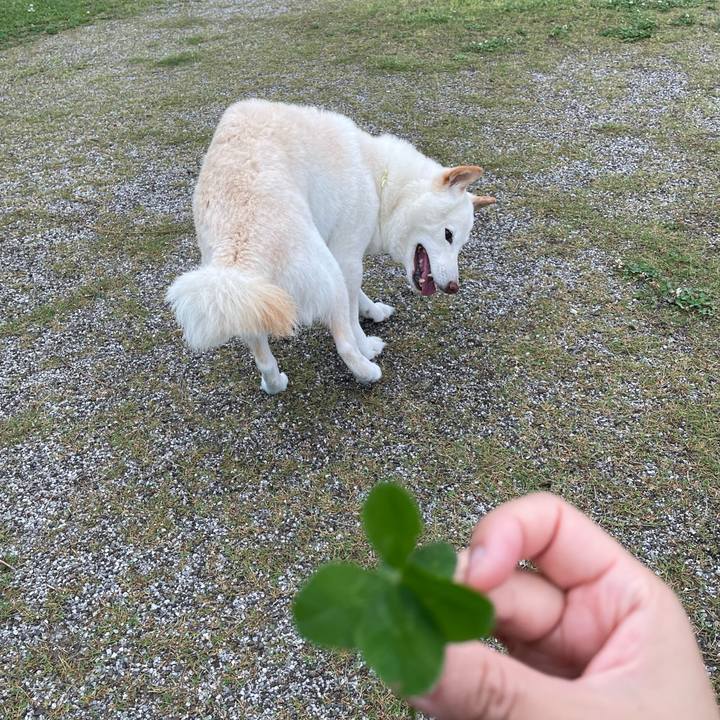 D9bd8d98 67a4 435e 9235 835a0243f5f3 1652279852608