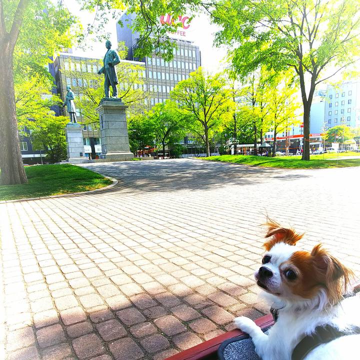 D9bdc210 5b60 4165 a97e 7f8abcb5b4b5 1526365332792