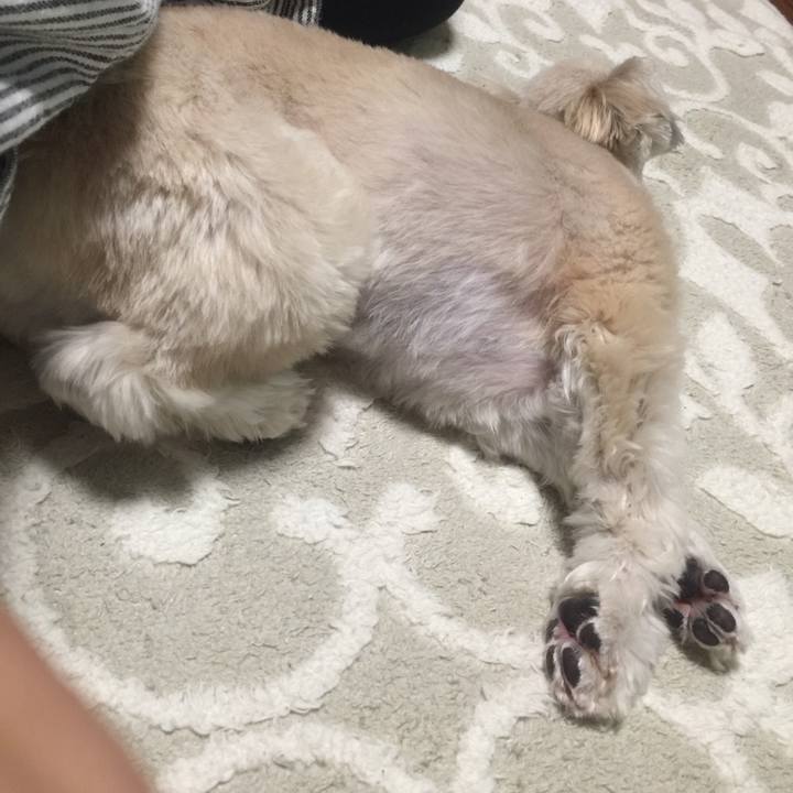 D9bdd3a1 da00 4cf2 8988 86c510fb6fa3 1549543652210