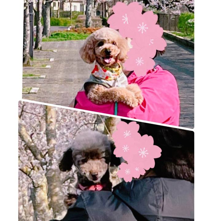 D9be014b 0dd9 4681 af16 9173a8df21e2 1680130813220